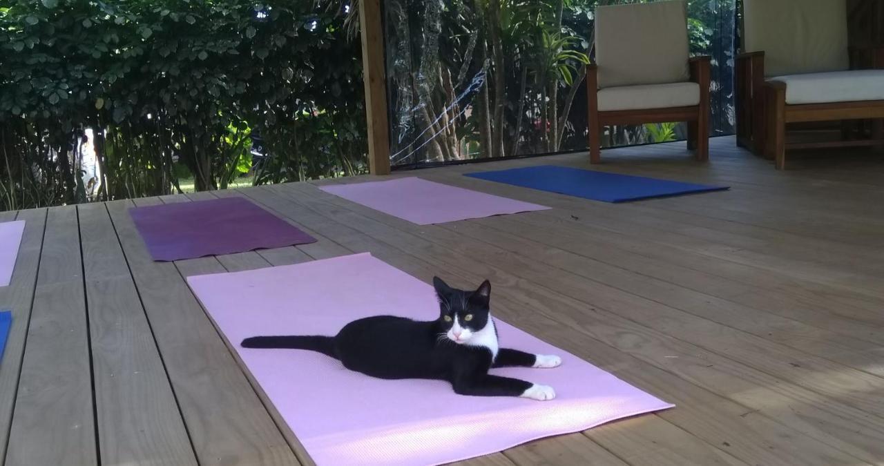 Ikurangi Eco Retreat Hotel Rarotonga Kültér fotó